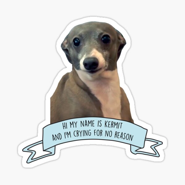 Kermit - Crying For No Reason Sticker