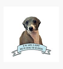 Kermit - Crying For No Reason Photographic Print