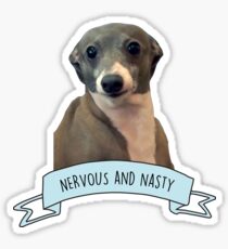 Kermit - Nervous and Nasty Sticker