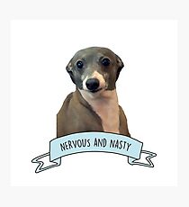 Kermit - Nervous and Nasty Photographic Print
