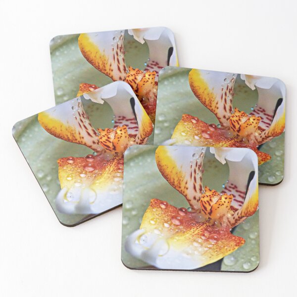 Item preview, Orchid – delicate exoticism in perfect symmetry designed and sold by beatbieri.ch.