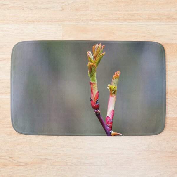 Item preview, Blooming Thorns – Beauty with Barbs designed and sold by beatbieri.ch.