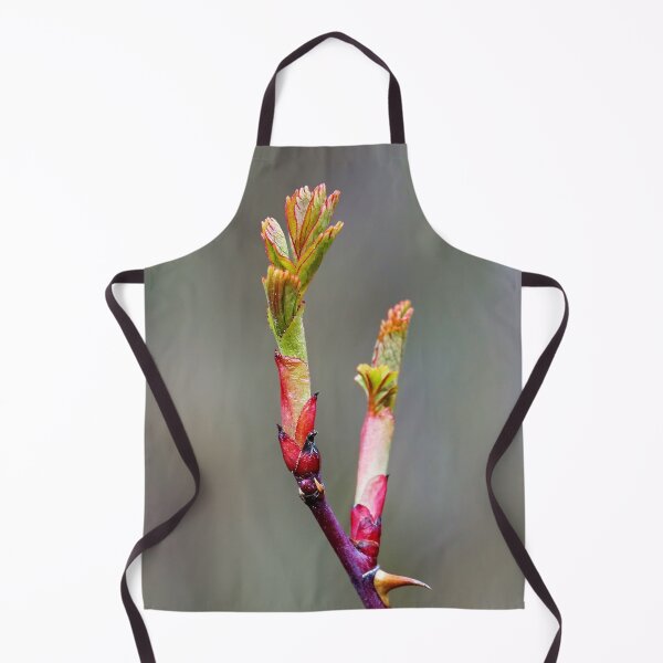 Item preview, Blooming Thorns – Beauty with Barbs designed and sold by beatbieri.ch.
