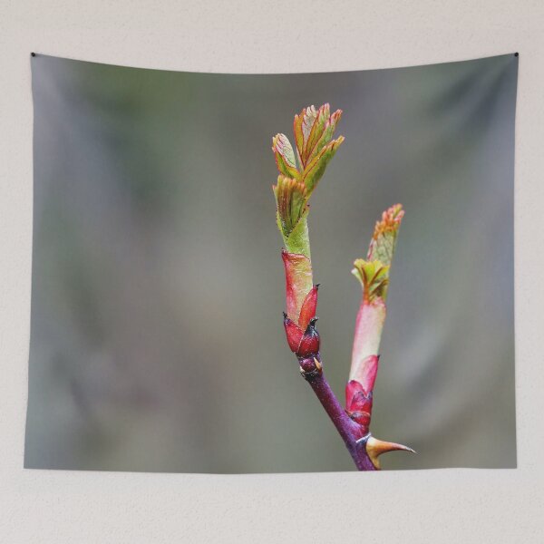 Item preview, Blooming Thorns – Beauty with Barbs designed and sold by beatbieri.ch.