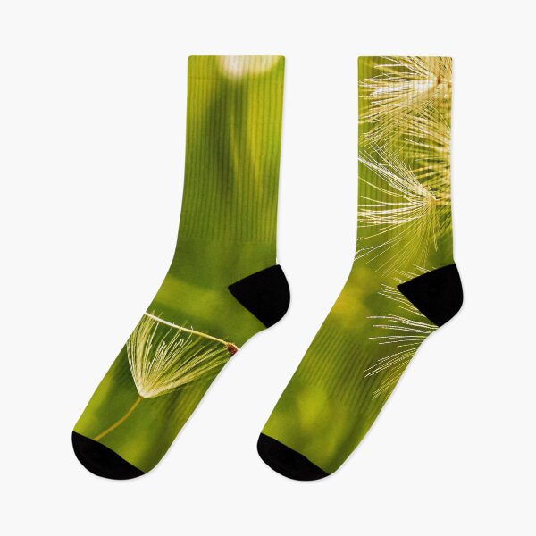 Item preview, Flying dandelion seeds – lightness in motion designed and sold by beatbieri.ch.