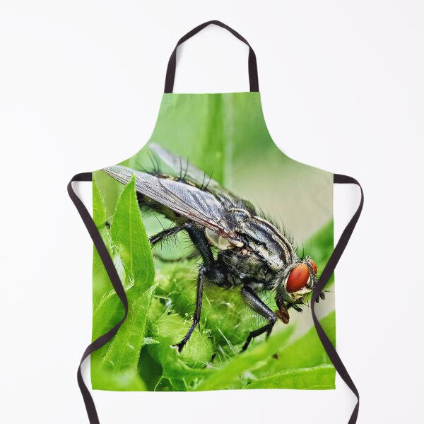 Item preview, Fly – Fascinating details of a small insect designed and sold by beatbieri.ch.