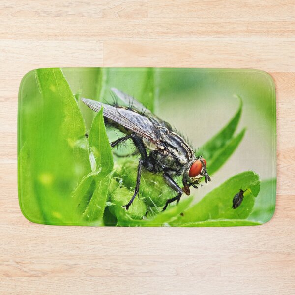 Item preview, Fly – Fascinating details of a small insect designed and sold by beatbieri.ch.