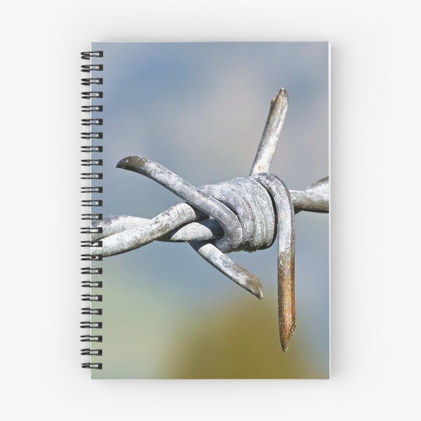 Item preview, Barbed fence – symbol of border and freedom at the same time designed and sold by beatbieri.ch.