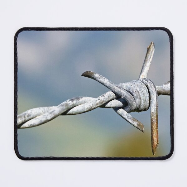 Item preview, Barbed fence – symbol of border and freedom at the same time designed and sold by beatbieri.ch.