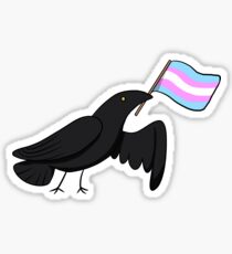 Pride Corvids - Trans* Sticker
