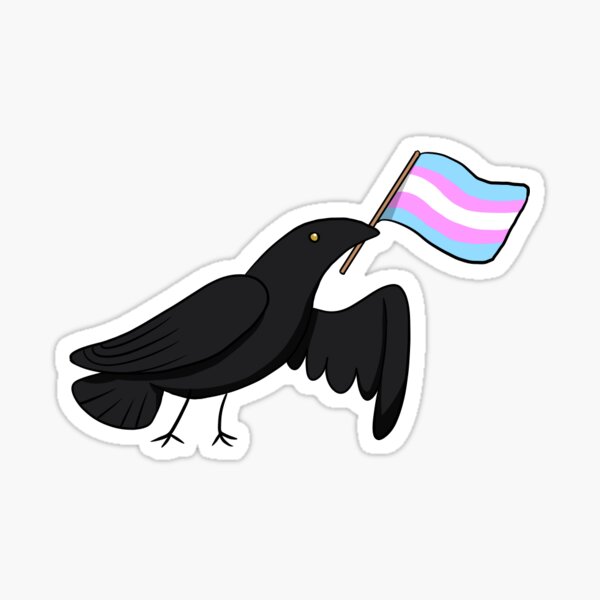 Pride Corvids - Trans* Sticker