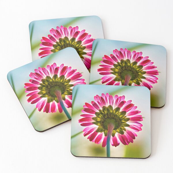 Item preview, Daisy – simple flower full of natural elegance designed and sold by beatbieri.ch.