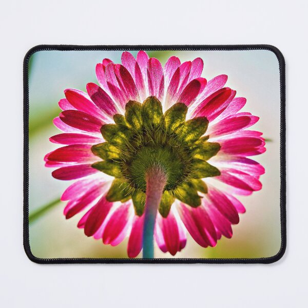 Item preview, Daisy – simple flower full of natural elegance designed and sold by beatbieri.ch.