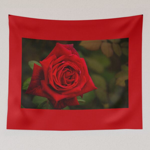 Item preview, Beautiful Red Rose designed and sold by Debra Martz.