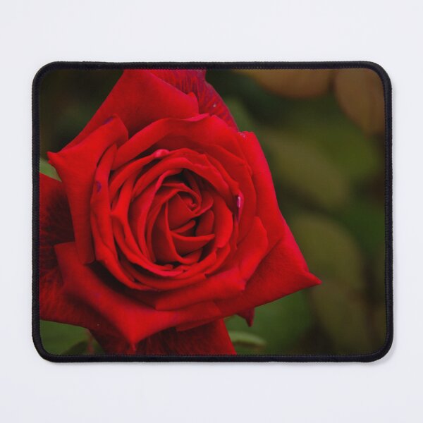 Item preview, Beautiful Red Rose designed and sold by Debra Martz.