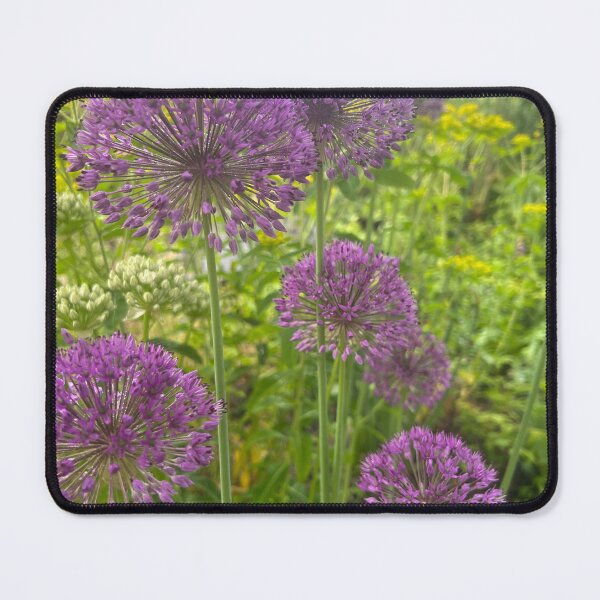 Item preview, Ornamental onion designed and sold by Eulalie7.