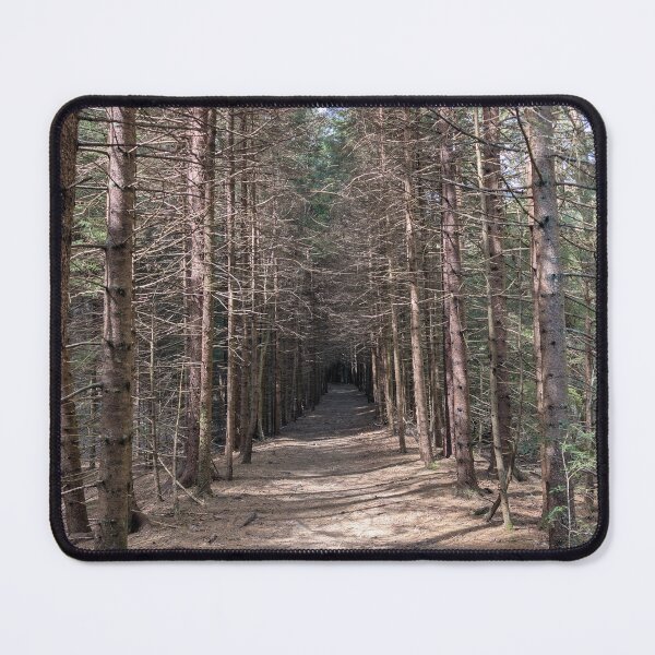 Item preview, The Cathedral of Pines designed and sold by NoRagetsArt.