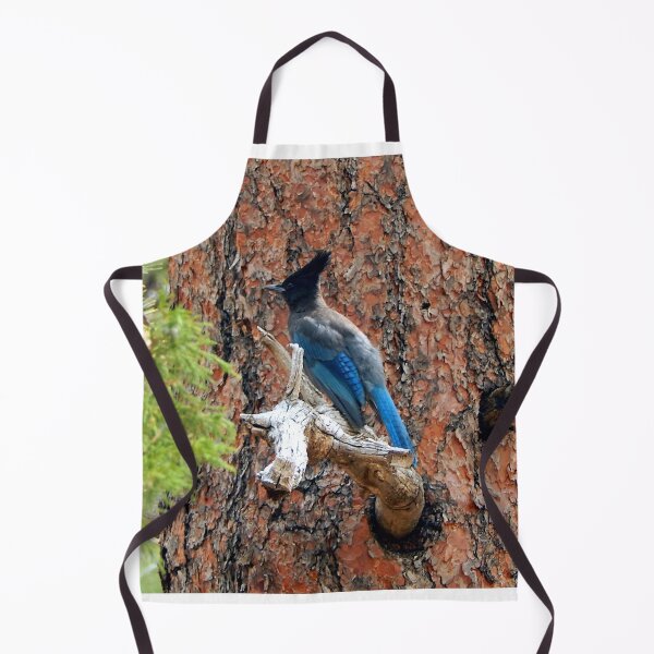 Item preview, Steller's Jay on Pine Tree designed and sold by gistinker.