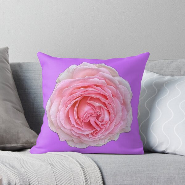 Item preview, Fully Bloomed Pink Rose – Botanical Garden Sticker designed and sold by RhyAndBlues.