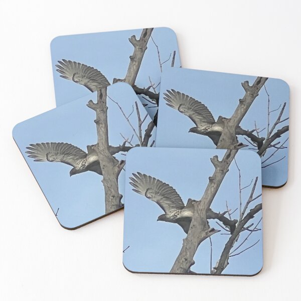 Item preview, Cooper's Hawk Taking Flight designed and sold by Digital50.