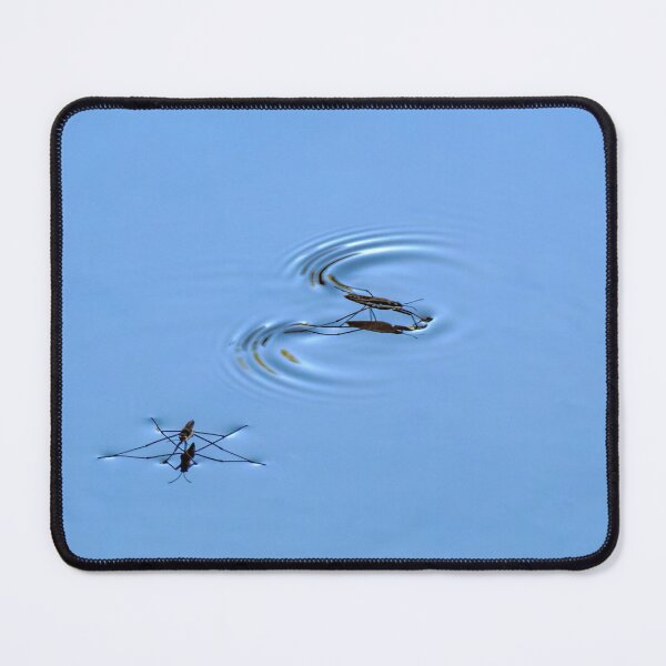 Item preview, Water Striders walking on water in the lake designed and sold by lisavonbiela.