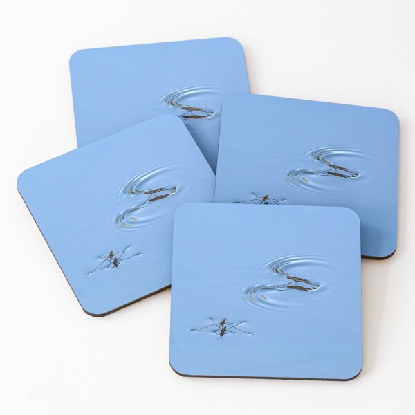 Item preview, Water Striders walking on water in the lake designed and sold by lisavonbiela.