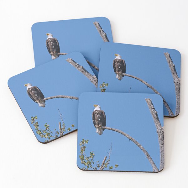 Item preview, Solo Bald Eagle perched in tree after mate flew off designed and sold by lisavonbiela.