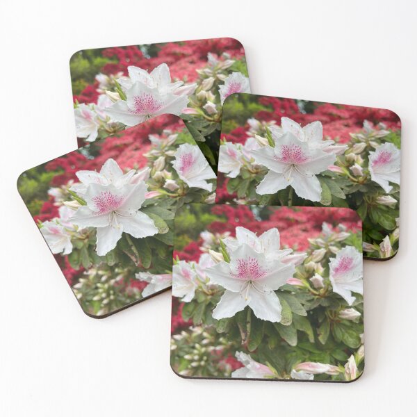 Item preview, White Azalea with Pink Spots designed and sold by VoxFabuli.