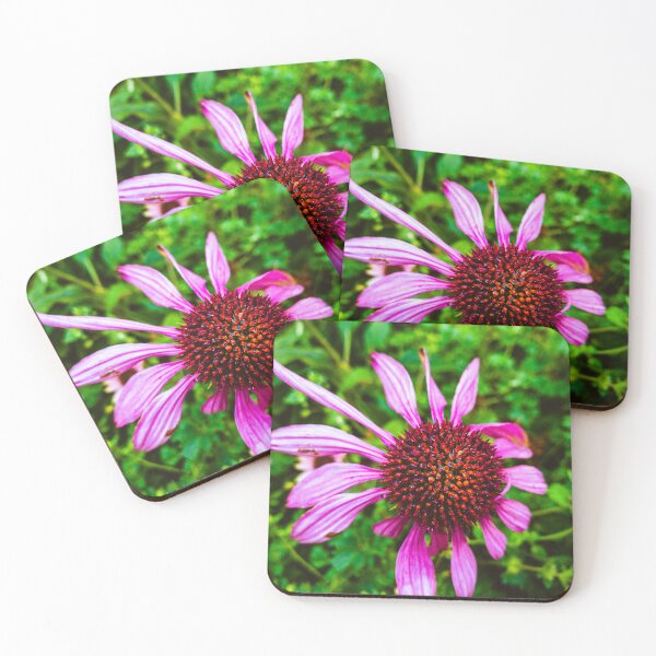 Item preview, Purple coneflower!  designed and sold by PixbyOlga.