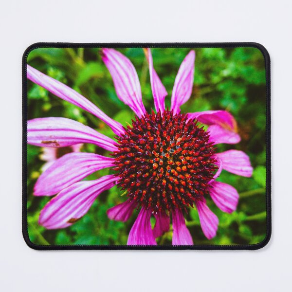 Item preview, Purple coneflower! designed and sold by PixbyOlga.