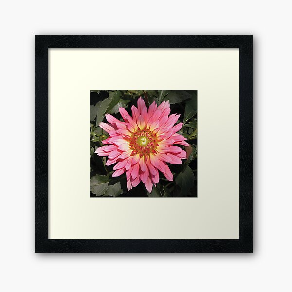Item preview, Pretty in Pink Blooming Flower Photo designed and sold by Here's To Endless Possibilities.