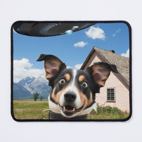 Item preview, Border collie and UFO selfie designed and sold by PBdesignshop.