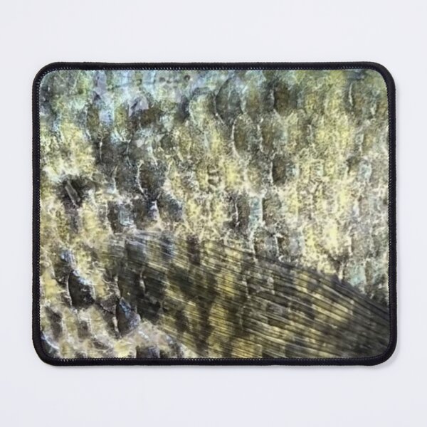 Item preview, White Crappie Skin (Dark Version)  designed and sold by CJRPics.