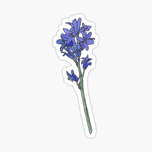 Bluebells Sticker