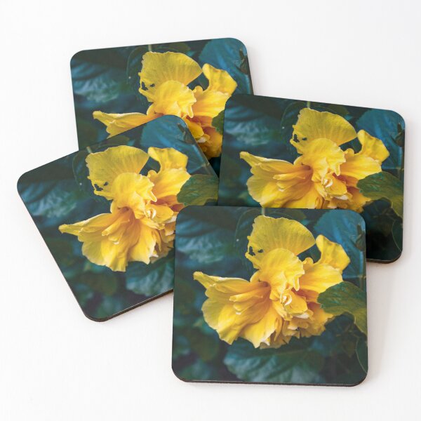 Item preview, Bright Yellow Flower Against a Dark Background designed and sold by Ana Zambrano Photography.