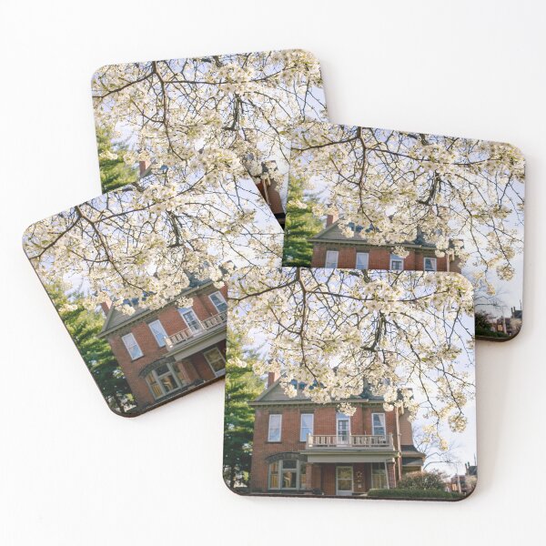 Item preview, Spring Blossoms and Colonial Home at Goodale Park designed and sold by Ana Zambrano Photography.