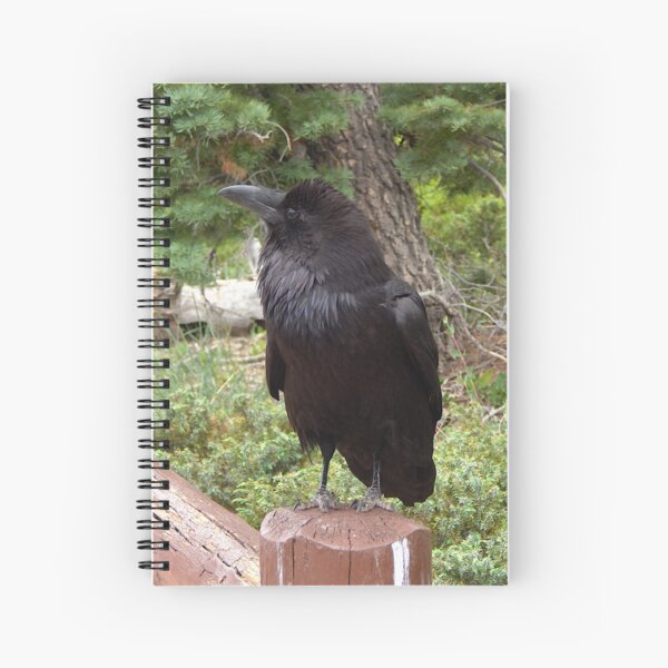 Item preview, Raven at Bryson Canyon designed and sold by gistinker.