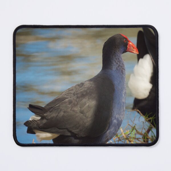 Item preview, The Pukeko  designed and sold by D-GaP.