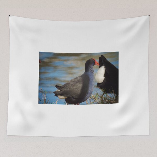 Item preview, The Pukeko  designed and sold by D-GaP.