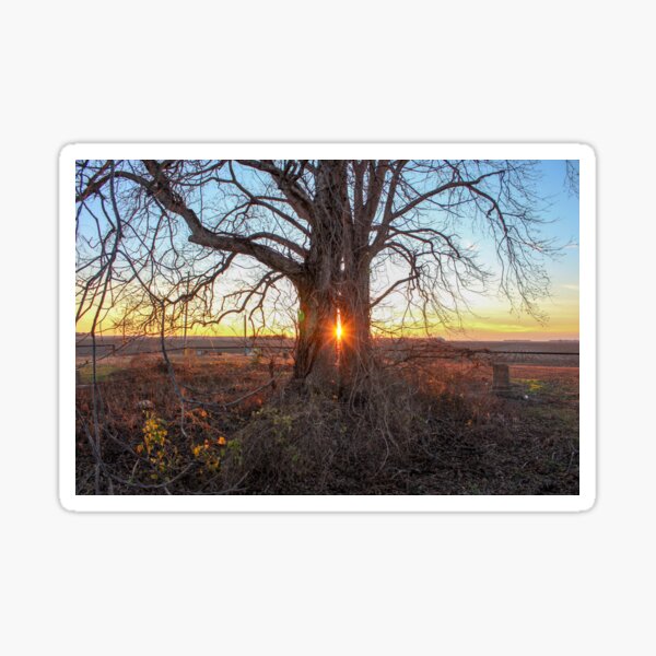 Item preview, Twilight's Rest: The Silent Sunset designed and sold by lykinsfilms.