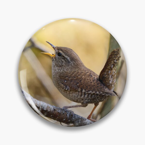 Item preview, Tail up songs.  Eurasian wren designed and sold by Jouko Lehto Photography.