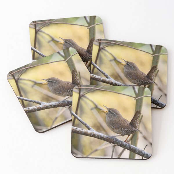 Item preview, Tail up songs.  Eurasian wren designed and sold by Jouko Lehto Photography.