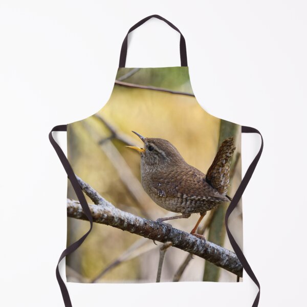 Item preview, Tail up songs.  Eurasian wren designed and sold by Jouko Lehto Photography.