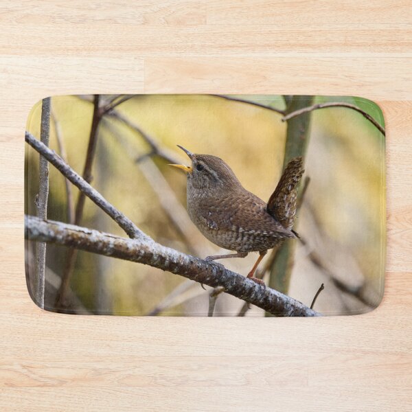 Item preview, Tail up songs.  Eurasian wren designed and sold by Jouko Lehto Photography.