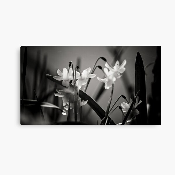 Item preview, penaud... designed and sold by Numendo.