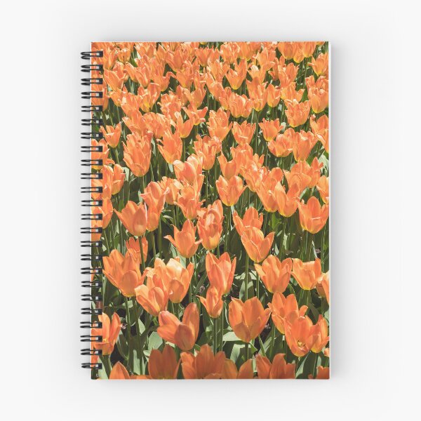 Item preview, Sunshiny Tangerine Coloured Tulips Abloom designed and sold by Georgia Mizuleva.
