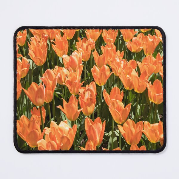 Item preview, Sunshiny Tangerine Coloured Tulips Abloom designed and sold by Georgia Mizuleva.