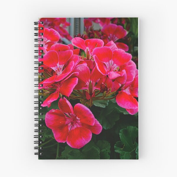Item preview, A splash of red designed and sold by Kerry LeBoutillier.