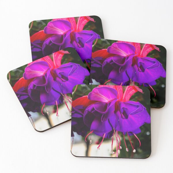 Item preview, What the fuchsia holds designed and sold by Kerry LeBoutillier.
