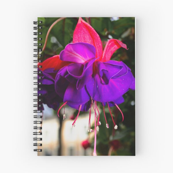 Item preview, What the fuchsia holds designed and sold by Kerry LeBoutillier.